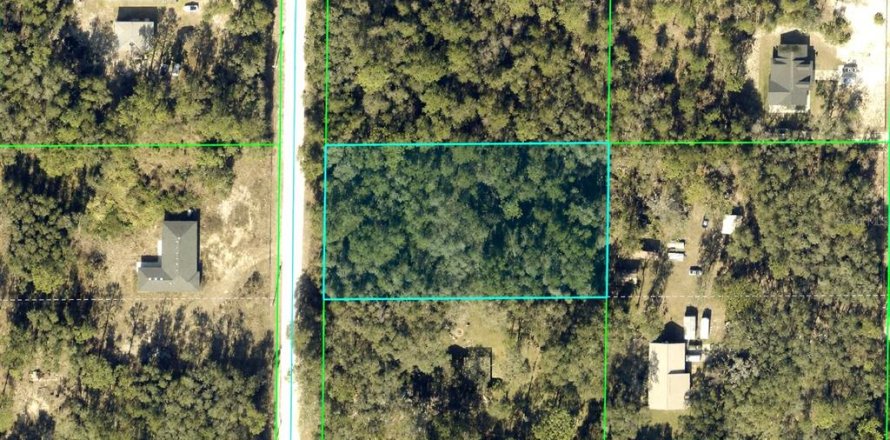 Land in Webster, Florida № 2161447