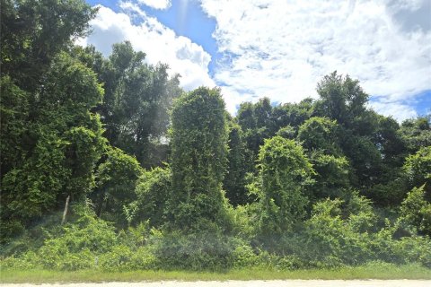 Land in Webster, Florida № 2161447 - photo 2