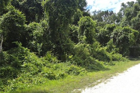 Land in Webster, Florida № 2161447 - photo 6