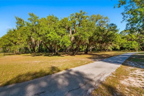 Land in Groveland, Florida № 2107369 - photo 2