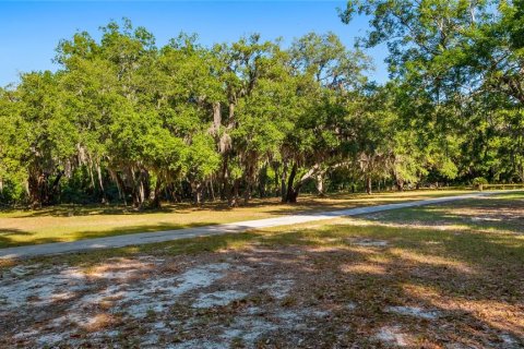 Land in Groveland, Florida № 2107369 - photo 30