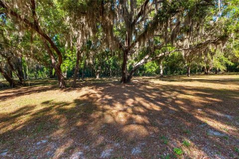 Land in Groveland, Florida № 2107369 - photo 29
