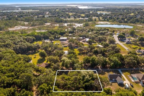 Land in Groveland, Florida № 2107369 - photo 7
