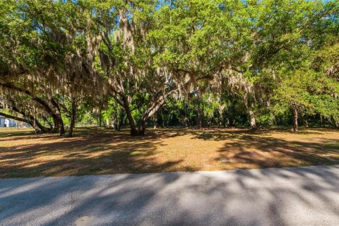 Land in Groveland, Florida № 2107369 - photo 25