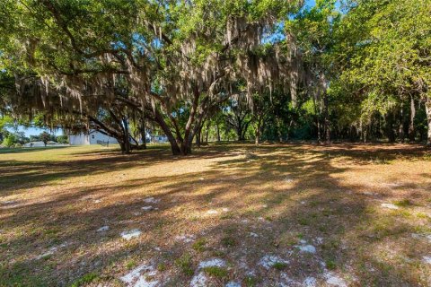 Land in Groveland, Florida № 2107369 - photo 26