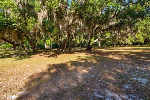 Land in Groveland, Florida № 2107369 - photo 24