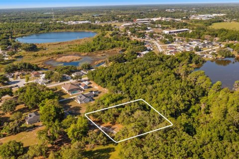 Land in Groveland, Florida № 2107369 - photo 6