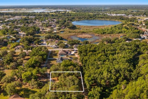 Land in Groveland, Florida № 2107369 - photo 4