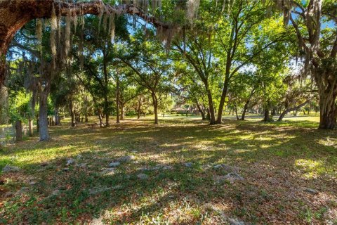 Land in Groveland, Florida № 2107369 - photo 22