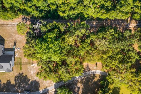 Land in Groveland, Florida № 2107369 - photo 20
