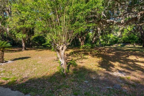 Land in Groveland, Florida № 2107369 - photo 21