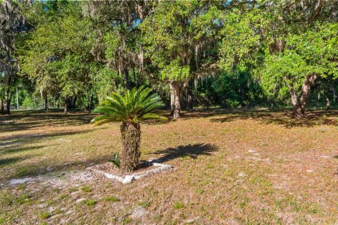 Land in Groveland, Florida № 2107369 - photo 17