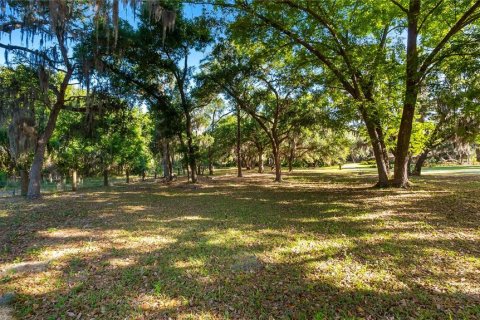 Land in Groveland, Florida № 2107369 - photo 18