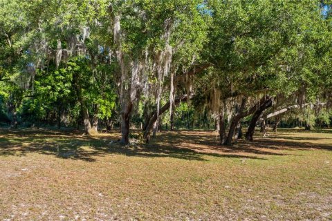 Land in Groveland, Florida № 2107369 - photo 8
