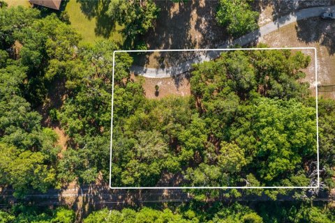 Land in Groveland, Florida № 2107369 - photo 5