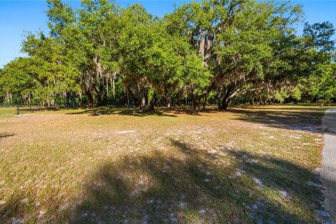 Land in Groveland, Florida № 2107369 - photo 28