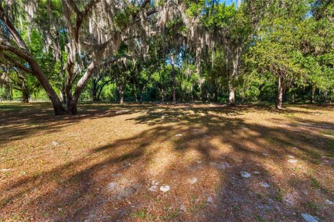 Land in Groveland, Florida № 2107369 - photo 27