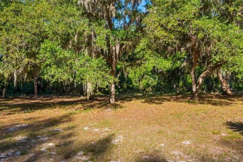 Land in Groveland, Florida № 2107369 - photo 3
