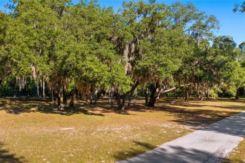 Land in Groveland, Florida № 2107369 - photo 16