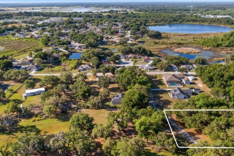 Land in Groveland, Florida № 2107369 - photo 10
