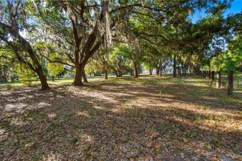 Land in Groveland, Florida № 2107369 - photo 12