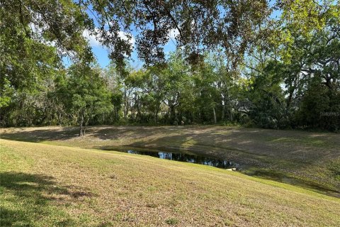 House in New Port Richey, Florida 2 bedrooms, 105.82 sq.m. № 1616930 - photo 30