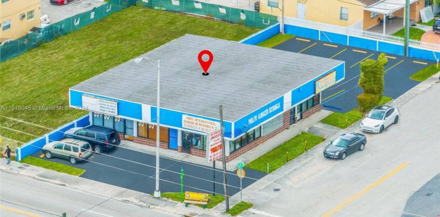 Коммерческая недвижимость в Хайалиа, Флорида № 1984934