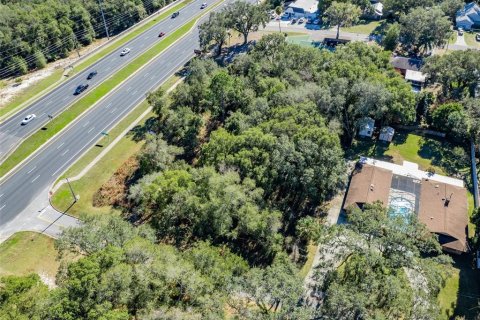 Land in Fruitland Park, Florida № 1719844 - photo 12