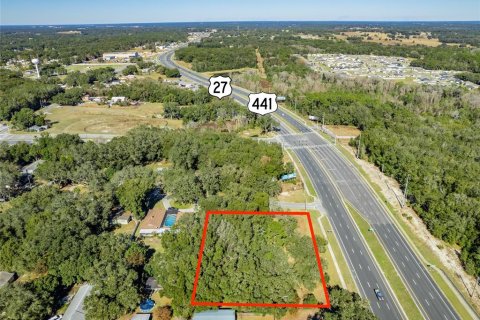 Land in Fruitland Park, Florida № 1719844 - photo 3