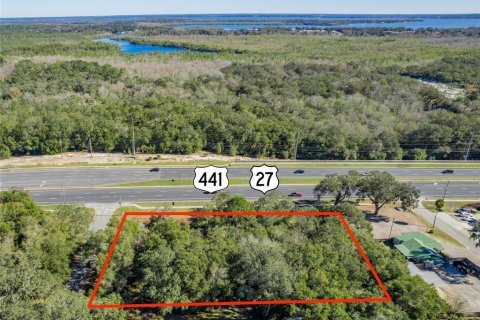 Land in Fruitland Park, Florida № 1719844 - photo 14