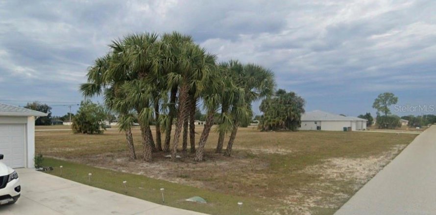 Land in Cape Coral, Florida № 1906765