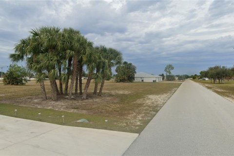 Land in Cape Coral, Florida № 1906765 - photo 5