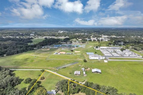Villa ou maison à vendre à Wildwood, Floride: 4 chambres, 124.49 m2 № 1913114 - photo 8