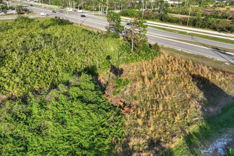 Land in Port Charlotte, Florida № 1564428 - photo 7