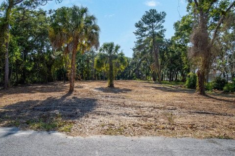 Land in Hudson, Florida № 1563705 - photo 2