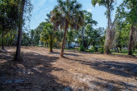 Land in Hudson, Florida № 1563705 - photo 3