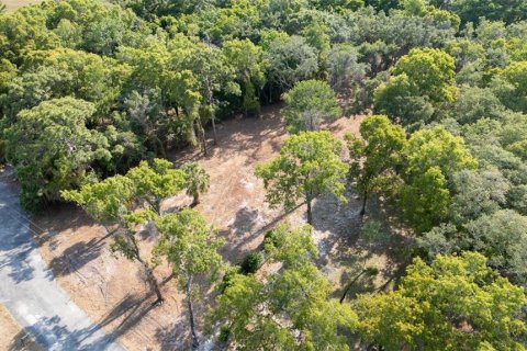 Land in Hudson, Florida № 1563705 - photo 13