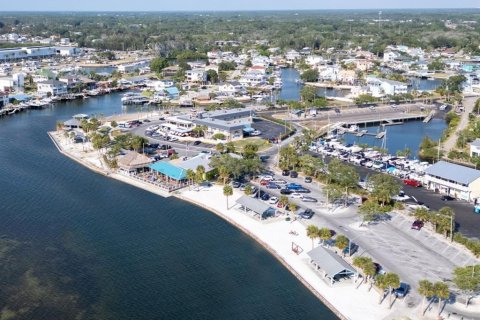 Land in Hudson, Florida № 1563705 - photo 23