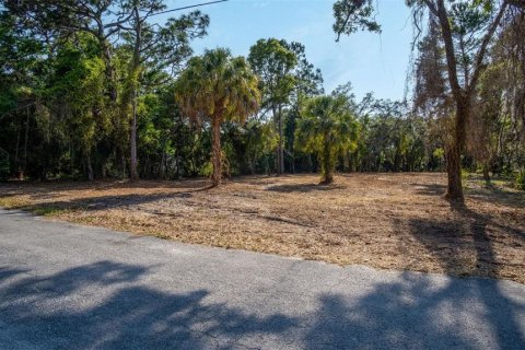 Land in Hudson, Florida № 1563705 - photo 9