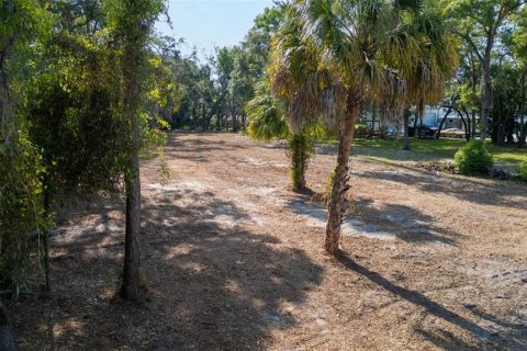 Land in Hudson, Florida № 1563705 - photo 12