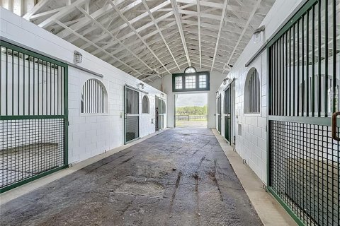 Villa ou maison à vendre à Summerfield, Floride: 4 chambres, 314.85 m2 № 2407143 - photo 12