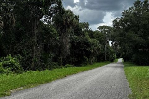 Land in DeLand, Florida № 2349711