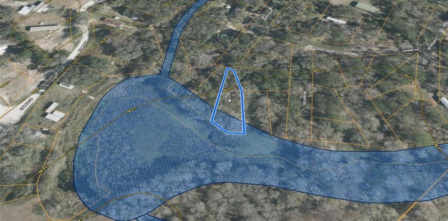 Terrain à Dade City, Floride № 2195432
