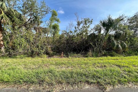 Terrain à Port Charlotte, Floride № 2164825