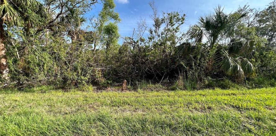 Terreno en Port Charlotte, Florida № 2164825
