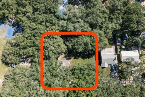House in Odessa, Florida 2 bedrooms, 79.52 sq.m. № 2425881 - photo 6