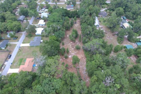 Land in DeLand, Florida № 1780668 - photo 7