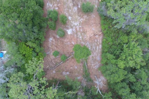 Land in DeLand, Florida № 1780668 - photo 6