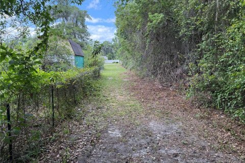 Land in DeLand, Florida № 1780668 - photo 1