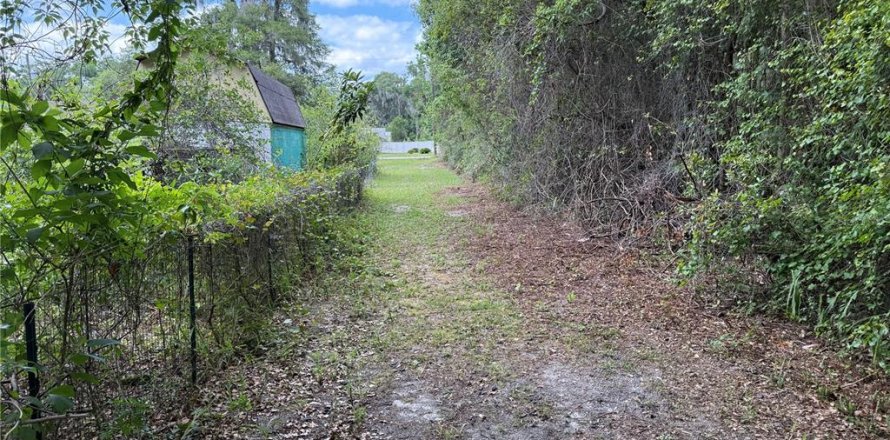 Land in DeLand, Florida № 1780668
